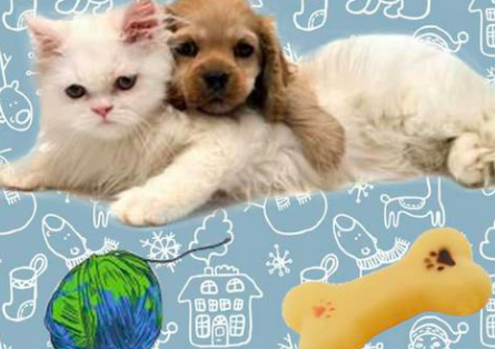 买狗去哪个网站好?