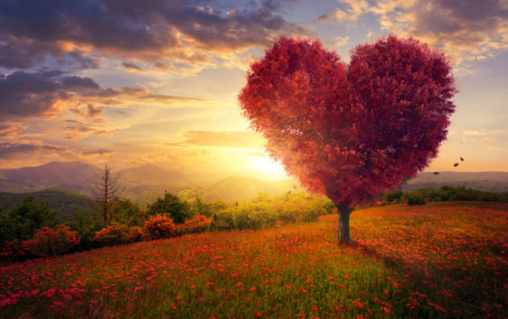 活几把和死几把的区别是什么？