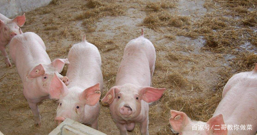 过来人都强调的养猪场“二八原则”,是什么意思?