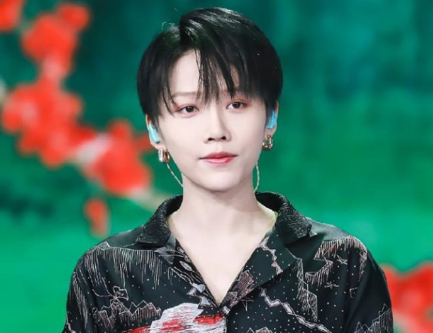 杨紫、刘雨昕同台合唱《山水画卷》,你觉得她们合作的怎么样?