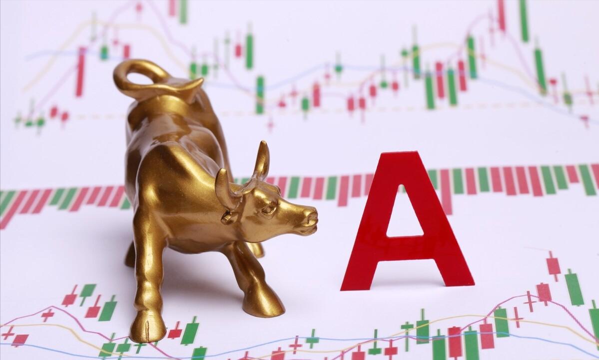 如何查询新股是否被成功申购?