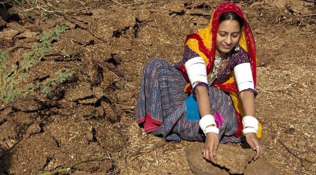 印度村庄泼粪节又来了,这个节日的由来是什么?