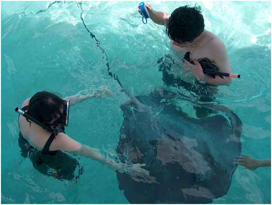 大溪地自由行最佳路线？