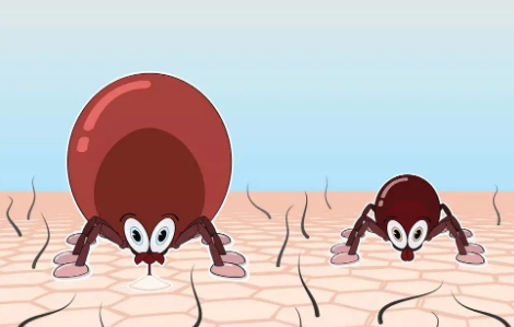 河南有3人因蜱虫病病逝,这件事给予我们怎样的警示?