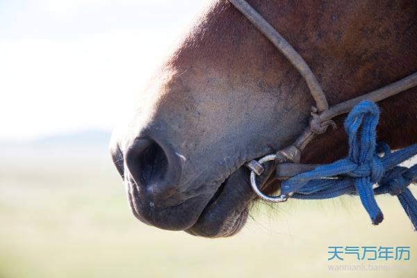 非主流搞笑网名史上最逗比的非主流网名