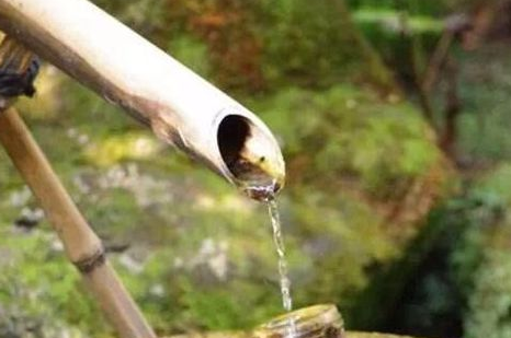 水笕的意思是什么