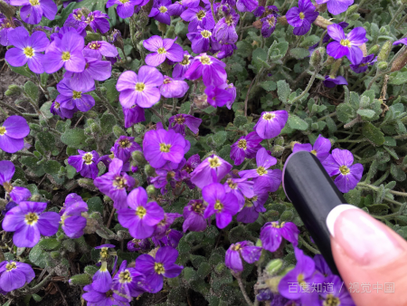 哈佛的心理测试:在你眼中我是什么颜色