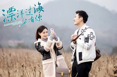 大家怎么看《漂洋过海来看你》的大结局?