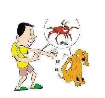 河南有3人因蜱虫病病逝,这件事给予我们怎样的警示?