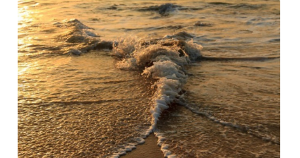 后浪推前浪,前浪死在沙滩上,下一句是什么？