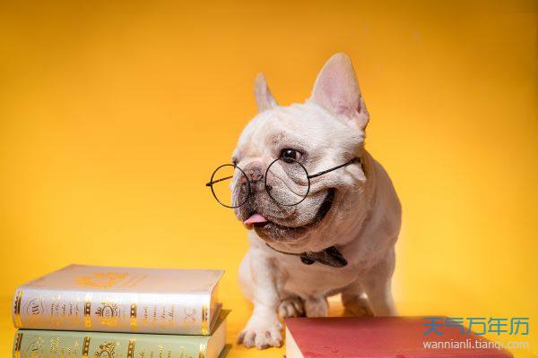 非主流搞笑网名史上最逗比的非主流网名
