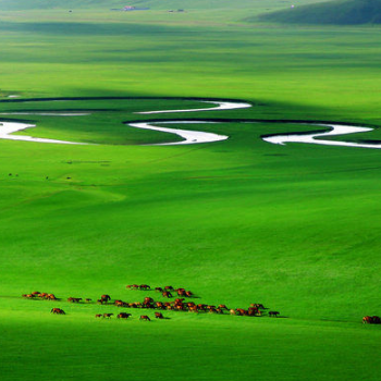 内蒙古四大草原都是哪些?