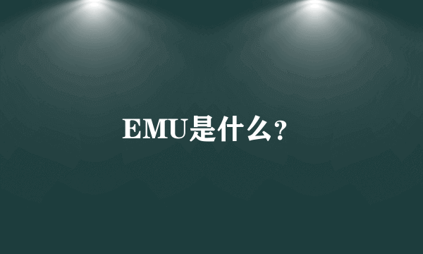 EMU是什么?