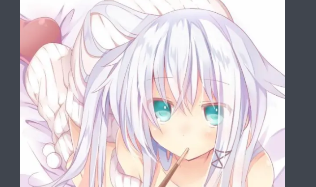 prpr是什么意思?