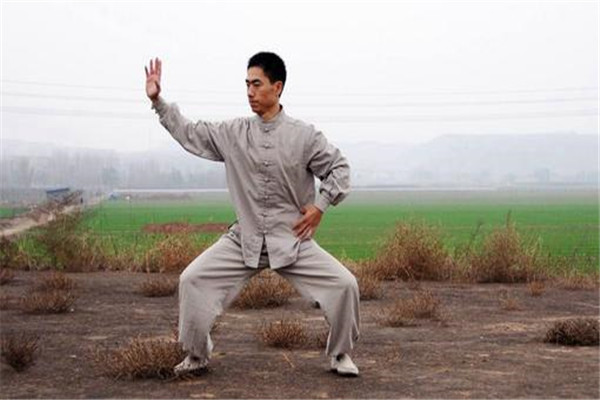 太极拳真的存在所谓的“闪电五连鞭”吗?