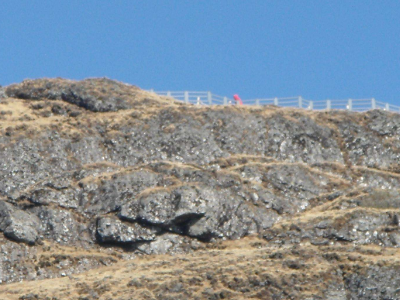 穷山恶水出叼民啥意思?