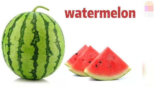 西瓜英文怎么读
