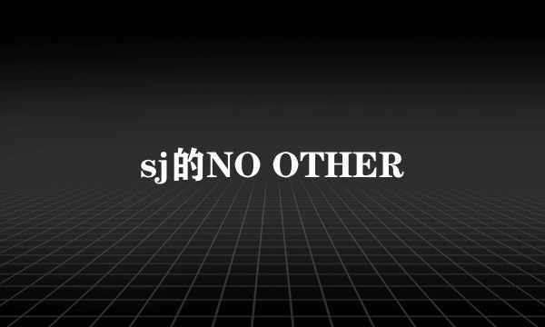 sj的NO OTHER