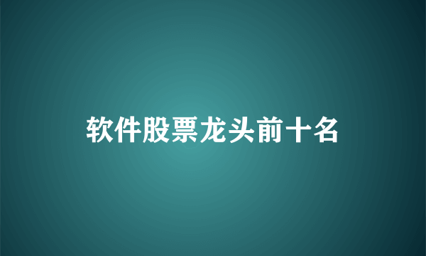 软件股票龙头前十名