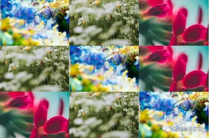 脑萎缩要怎么治疗?