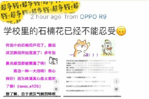 石楠花的味道是什么梗?