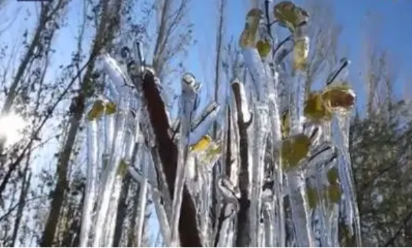 新疆出现罕见冰凌奇观是什么样的?