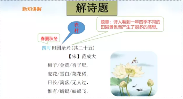 四时田园杂兴(其二十五)的诗意是什么？