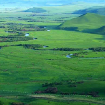 内蒙古四大草原都是哪些?