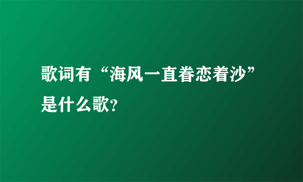 歌词有“海风一直眷恋着沙”是什么歌?