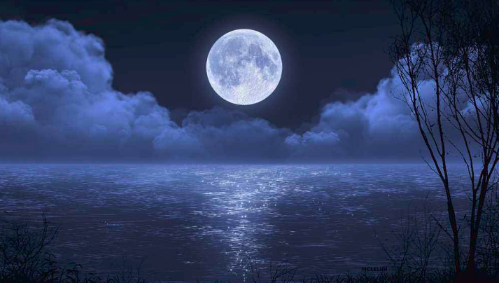 “今晚的月色真美啊”这句话是什么意思?