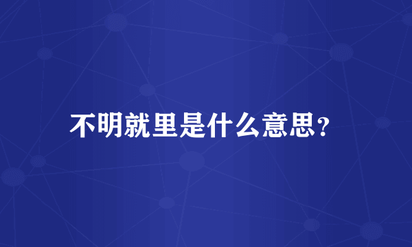 不明就里是什么意思？