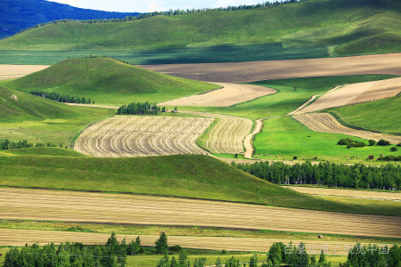 文科包括哪些科目?