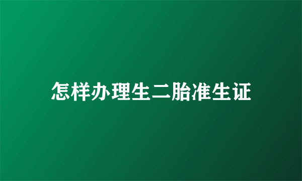怎样办理生二胎准生证