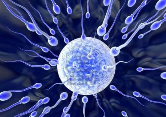 中国哪里可以冻卵?