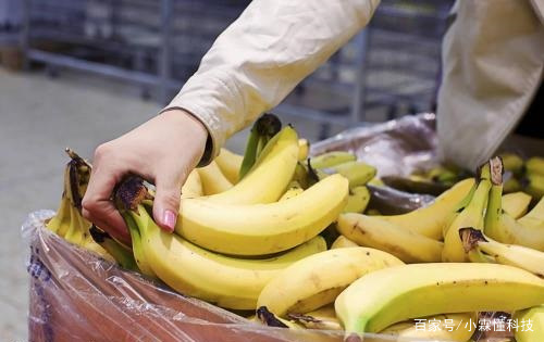 买香蕉应该要怎么挑选呢?