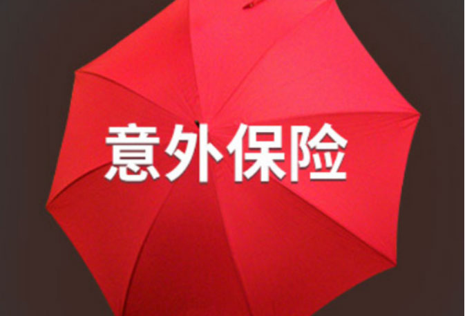 100万的人身意外险是多少钱一年?