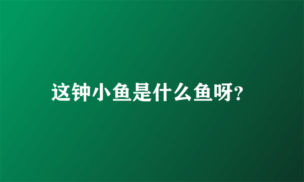这钟小鱼是什么鱼呀？