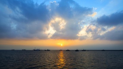 营口鲅鱼圈封校停课、诊所关闭,是因为什么原因?