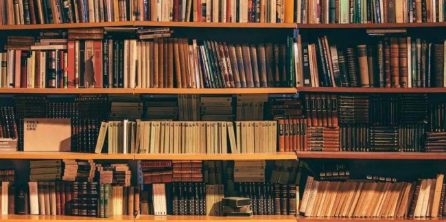 名字中的楠有啥寓意?