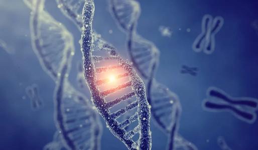 什么是基因突变?