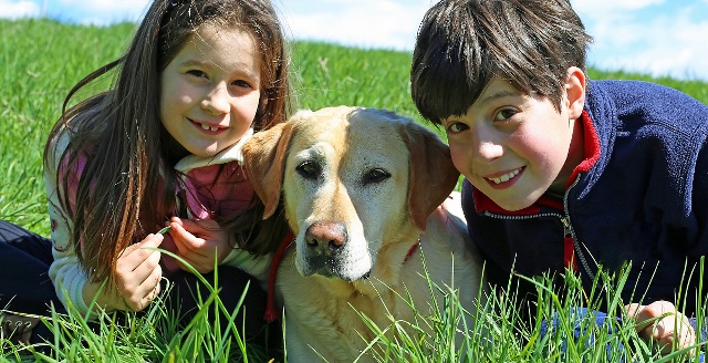 早恋是什么意思?