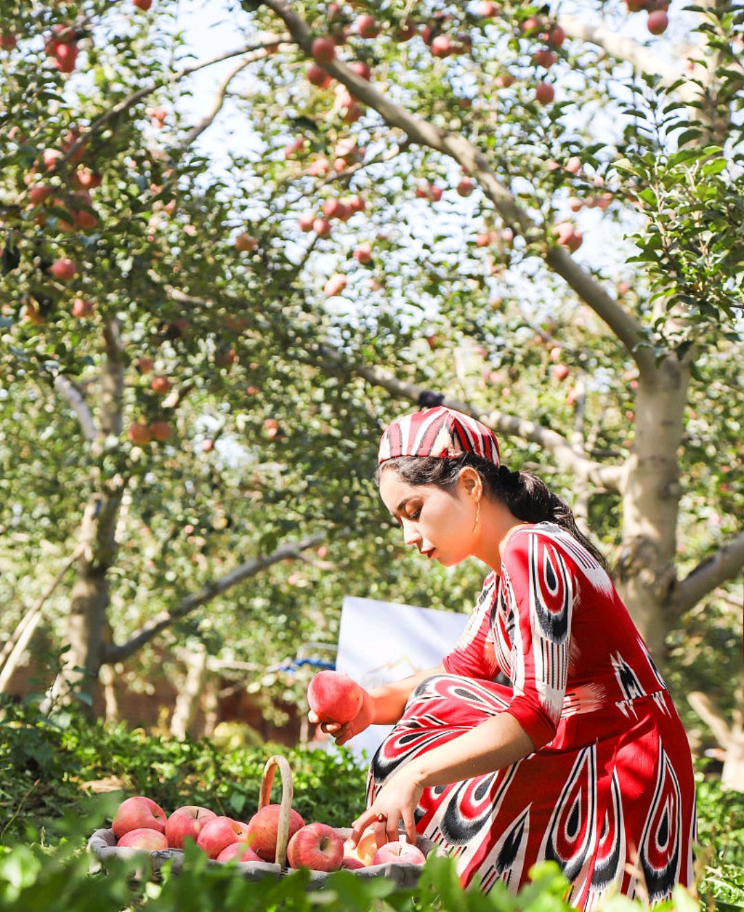 新疆有哪些特产?