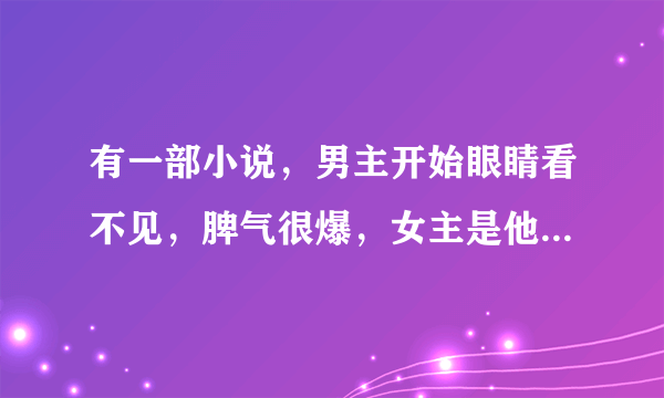 有一部小说，男主开始眼睛看不见，脾气很爆，女主是他父亲给他买的生日礼物,谁知道叫什么名字？？谢谢！