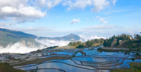 云南的简称或别称有哪些?