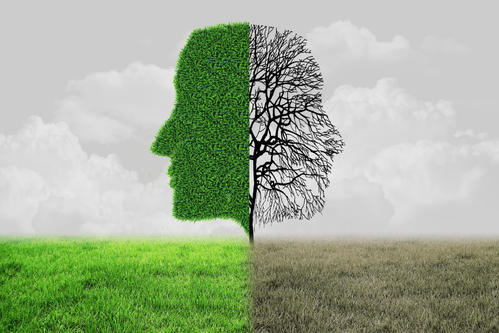 价值取向有哪些?