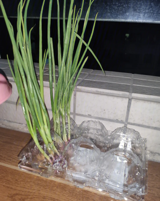 省钱有什么好方法?