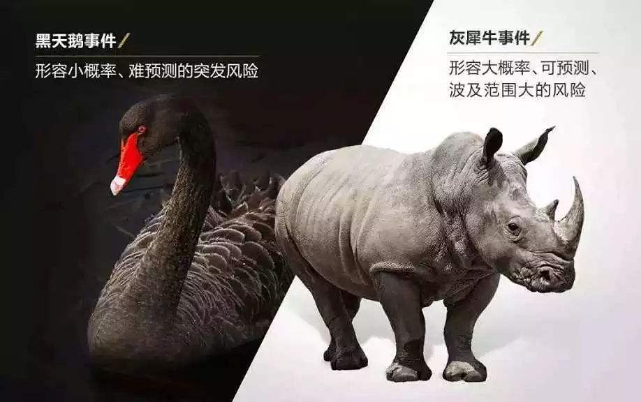 灰犀牛和黑天鹅指什么?