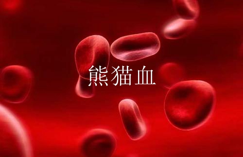 熊猫血是怎么产生的?RH阴性血RH什么意思
