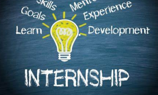 internship 什么意思