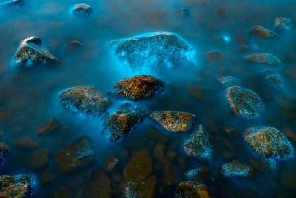 葫芦岛海边现罕见荧光海,什么是“荧光海”?